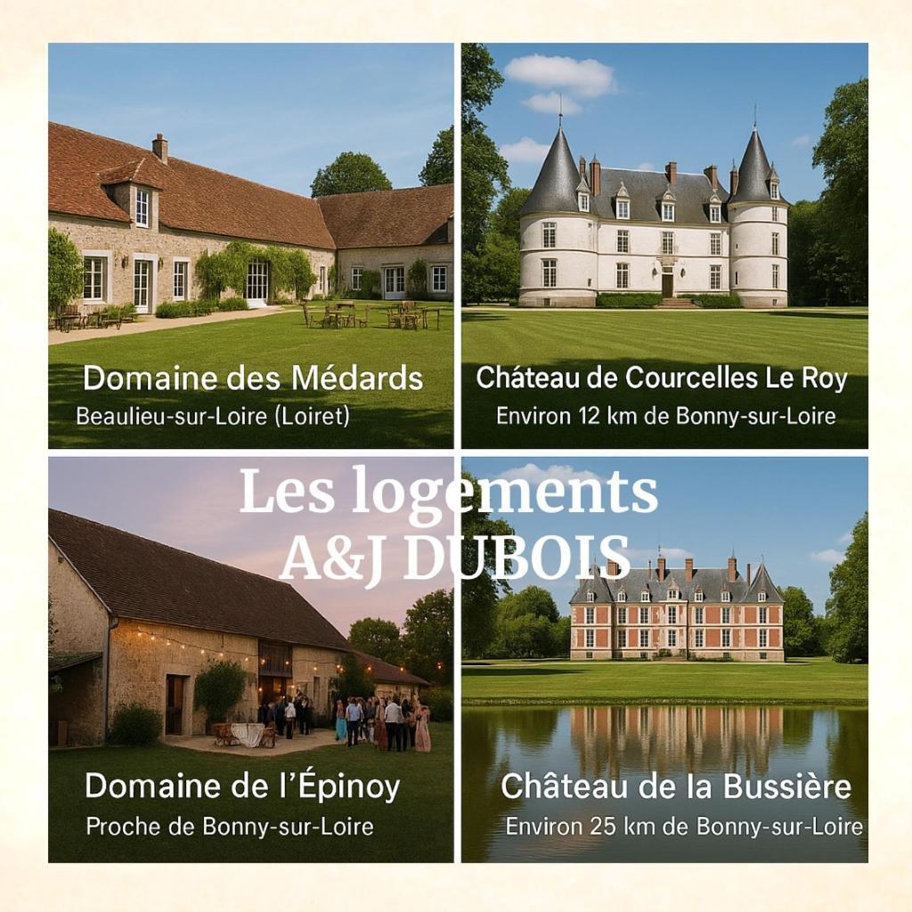A&Jduplex - Bonny Sur Loire - Chateaux De Guedelon - Pont Canal Zewnętrze zdjęcie